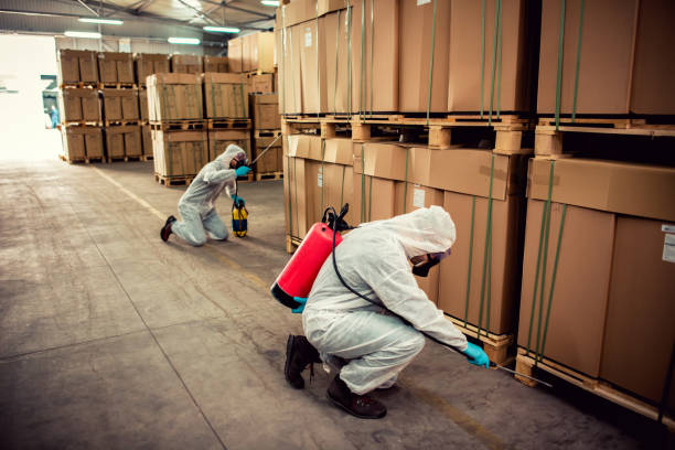 Best Affordable Pest Control Services  in Lebanon, IL