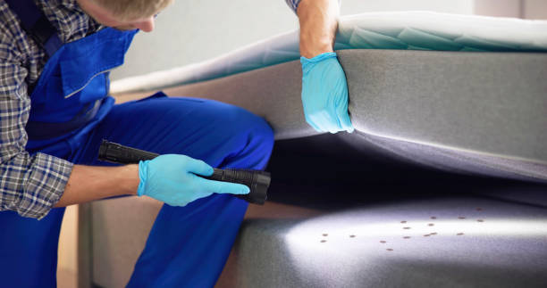 Best Pest Prevention Services  in Lebanon, IL