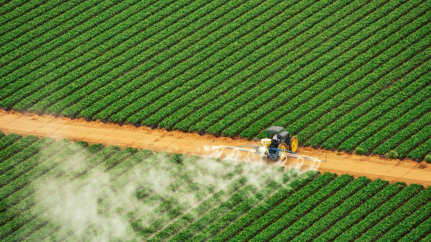 Best Best Pest Control Companies  in Lebanon, IL
