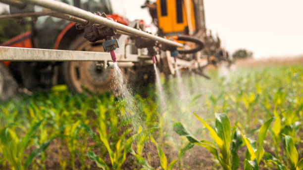 Best Wildlife Control Services  in Lebanon, IL