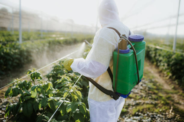 Best Pest Control Treatment  in Lebanon, IL